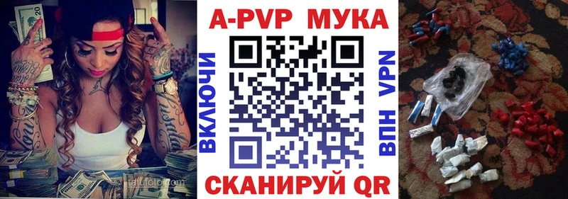 дарнет шоп Пионерский APVP СК