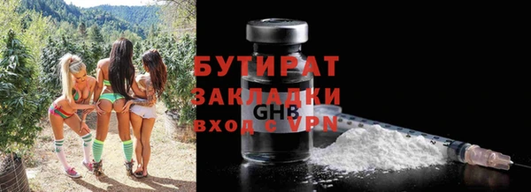 сатива Новозыбков