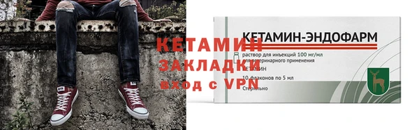 шишки Елизово