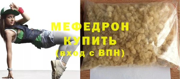 сатива Новозыбков