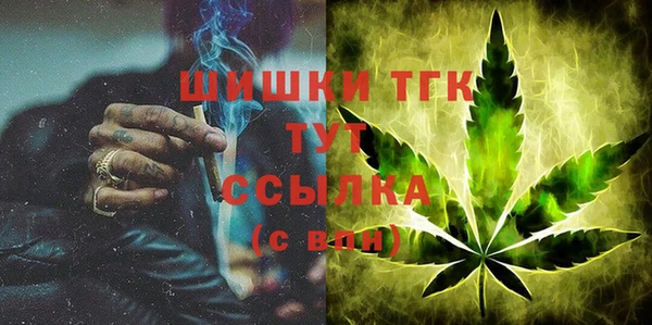 сатива Новозыбков