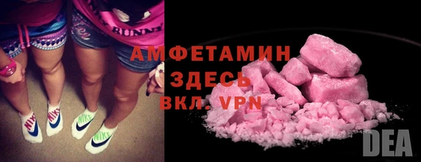 сатива Новозыбков