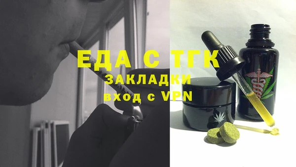 сатива Новозыбков
