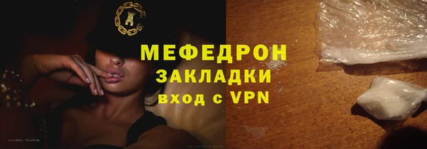 сатива Новозыбков