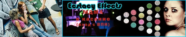 сатива Новозыбков