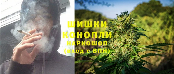 индика Ростов