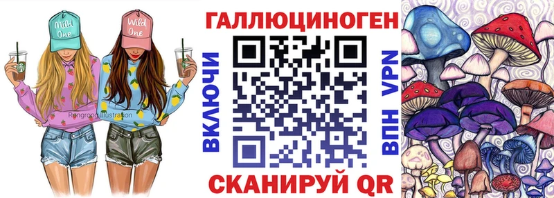 Галлюциногенные грибы Psilocybine cubensis  omg как зайти  Пионерский 