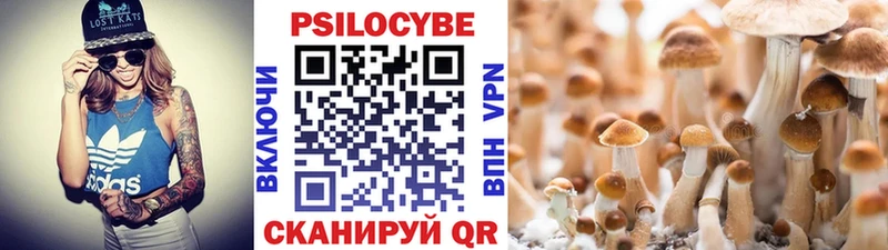 Псилоцибиновые грибы ЛСД Пионерский